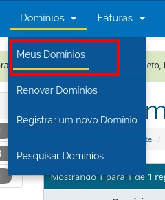 Meus Domínios - HostGator Brasil Meus Domínios - HostGator Brasil